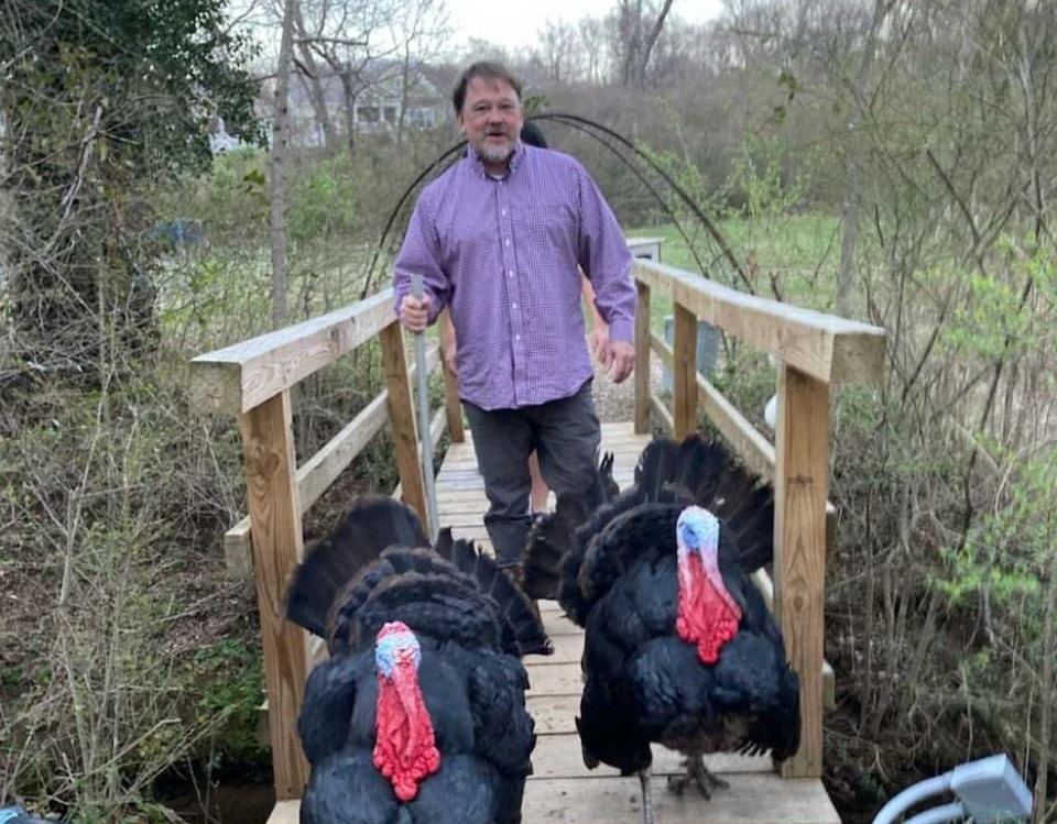 steve-with-turkeys-1