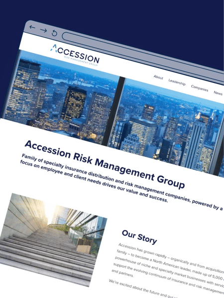 Screenshot of Risk Management Accession website home page