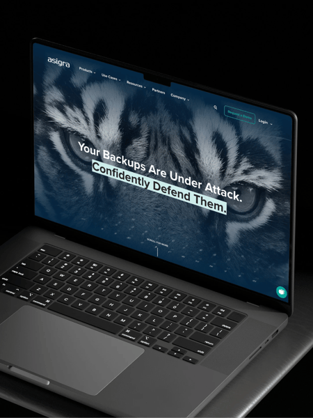 Asigra Website Screenshot