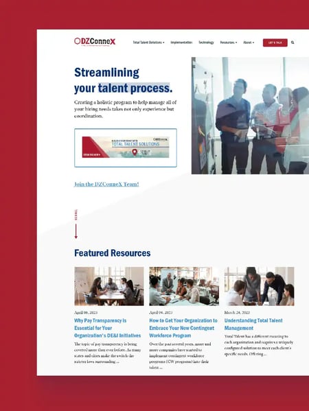 DZConnex Website Screenshot