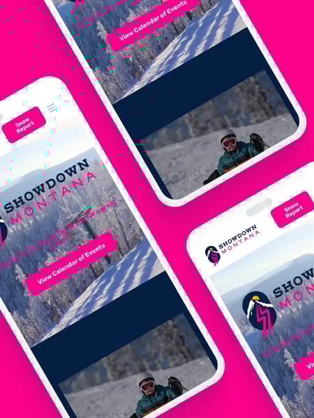 Showdown Montana Website Screenshot