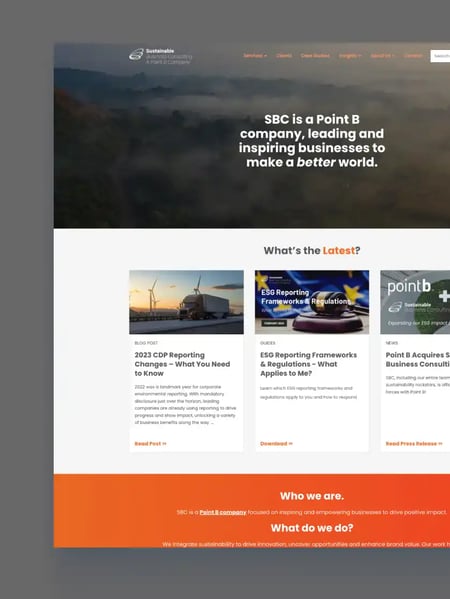 Sustainable Business Consulting Website Screenshot