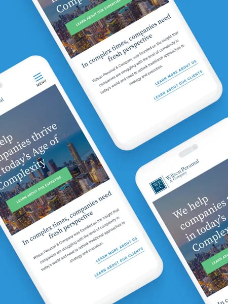 Wilson Perumal & Company, Inc. Website Screenshot
